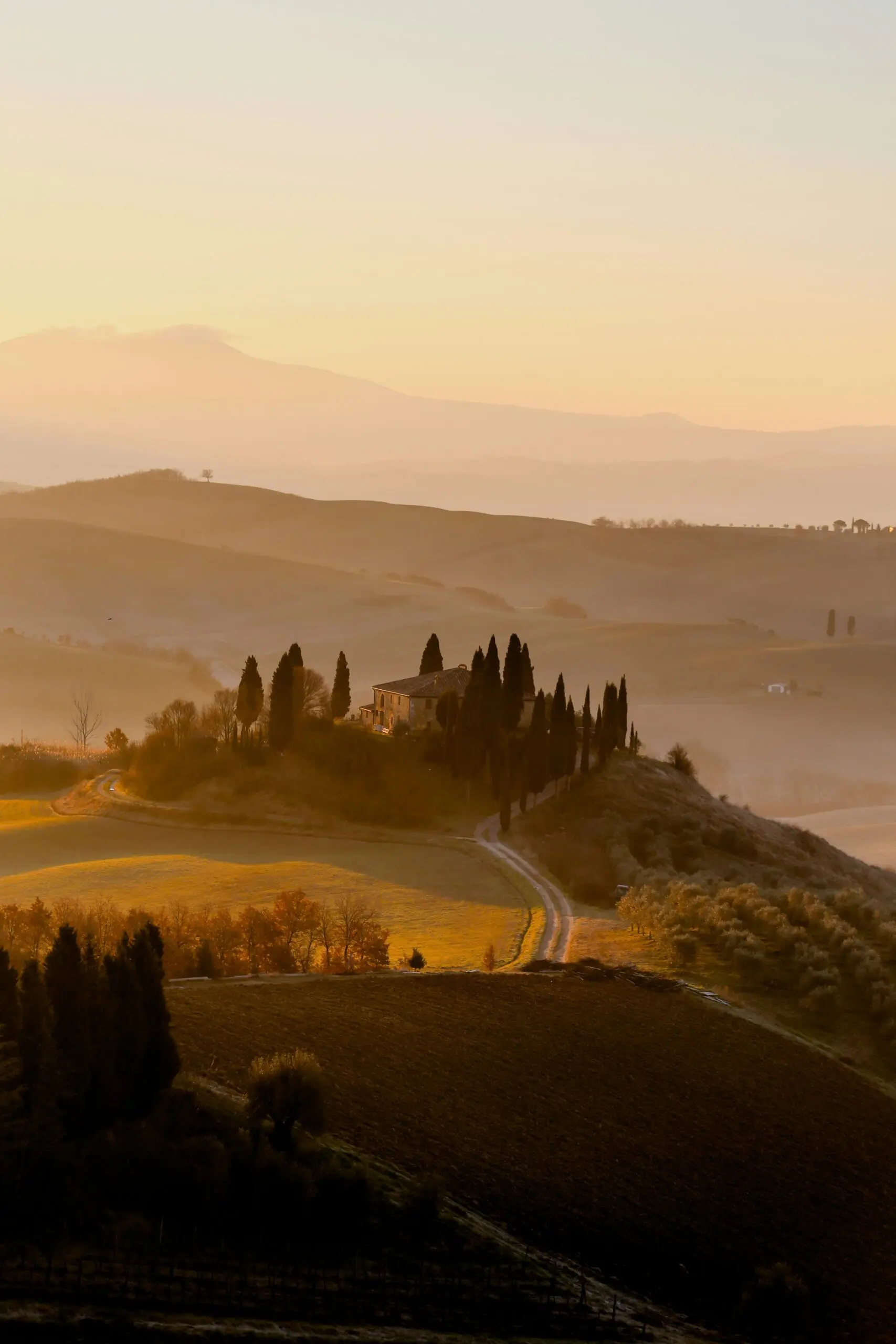 Giuseppe mondi fJWYwHWYQpY unsplash